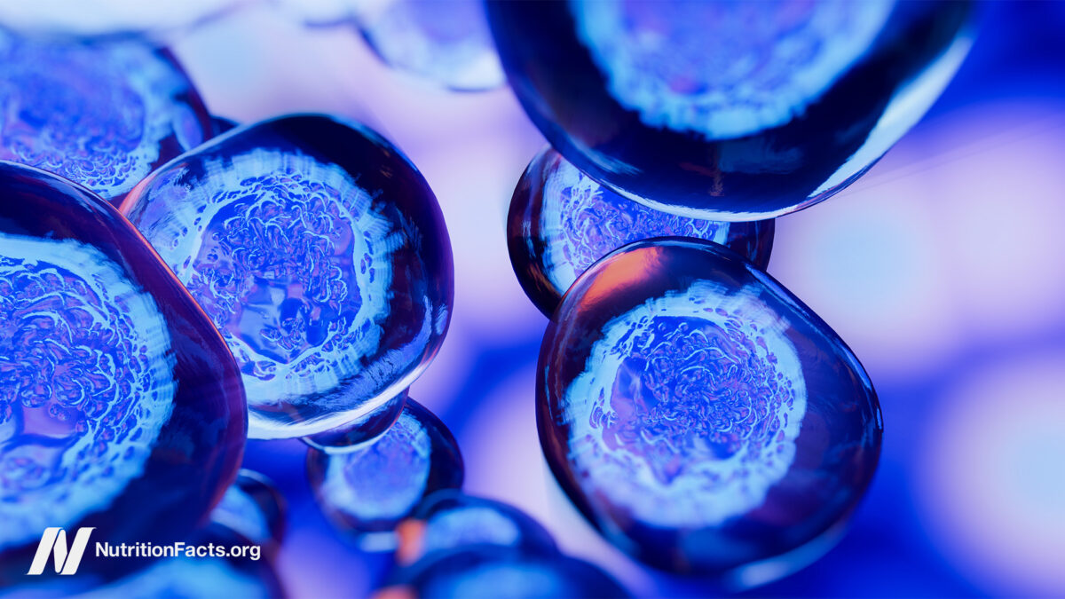 Dietary Components That May Cause Cancer to MetastasizeΒ Dietary Components That May Cause Cancer to MetastasizeΒ