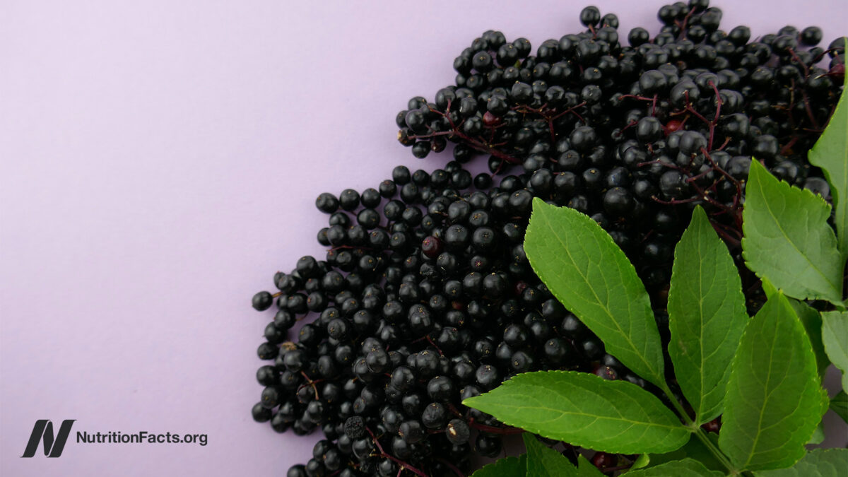 What About Elderberry, Echinacea, and Cranberries for Colds and the Flu?Β What About Elderberry, Echinacea, and Cranberries for Colds and the Flu?Β