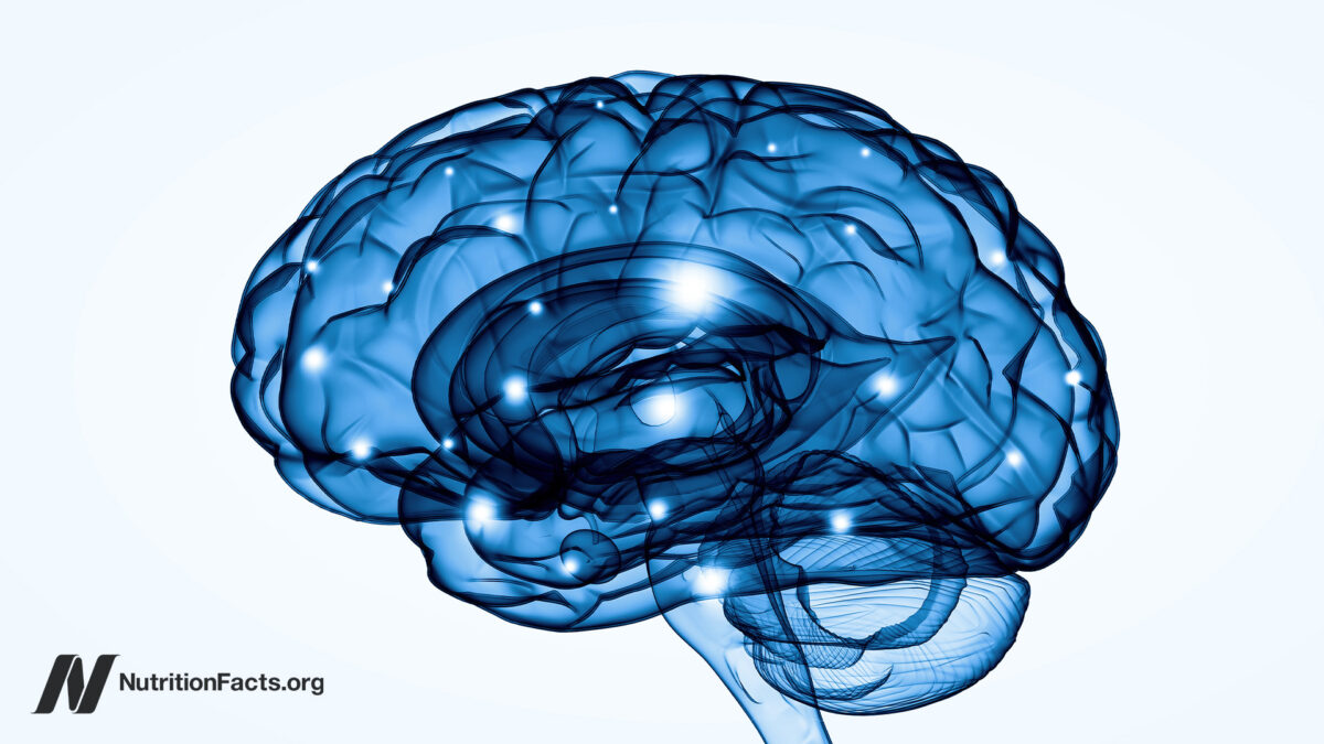 Boosting BDNF Levels in Our Brain to Treat DepressionΒ Boosting BDNF Levels in Our Brain to Treat DepressionΒ
