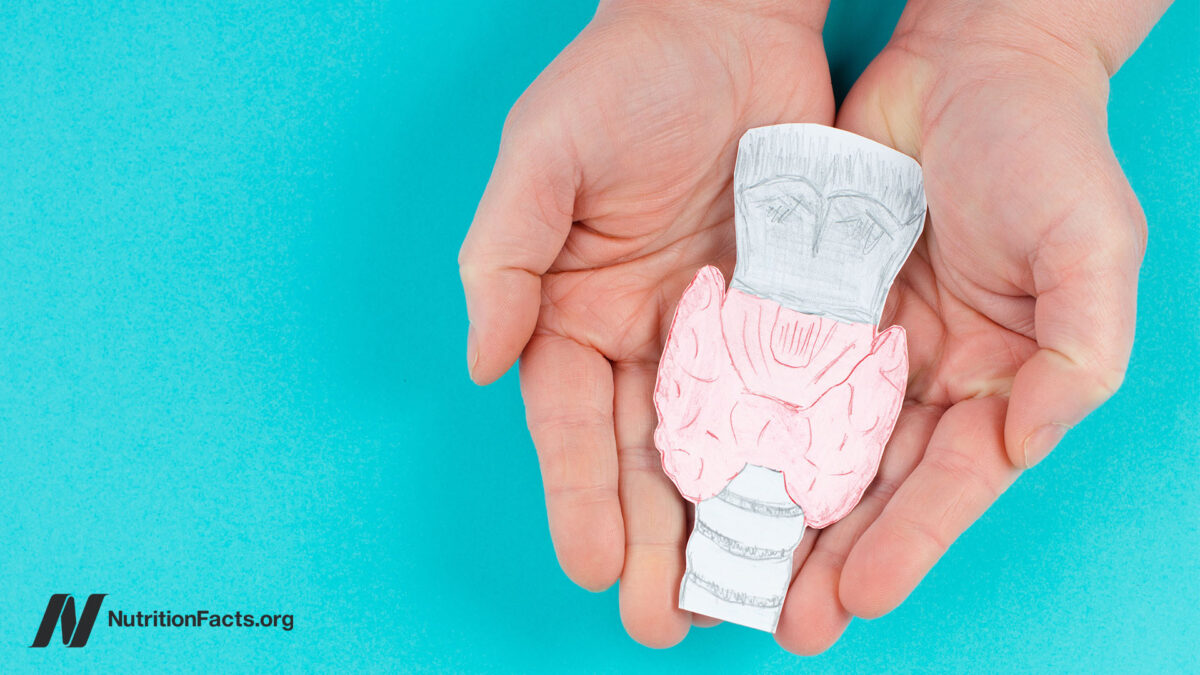 Treating Hashimoto’s Disease (Hypothyroidism) Naturally with DietΒ Treating Hashimoto’s Disease (Hypothyroidism) Naturally with DietΒ