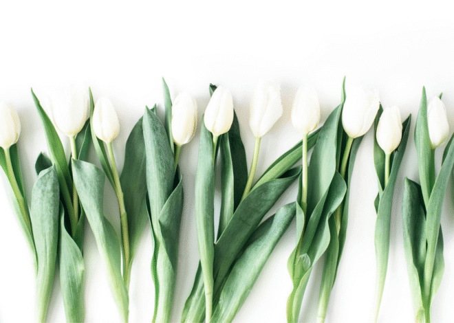 Six Tips for Avoiding Parental Burnout
– My Self-Love Supply