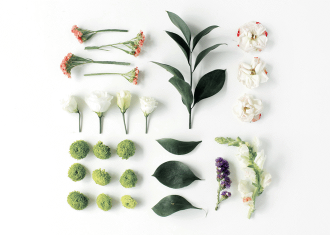 Choosing Your Mindset Deliberately
– My Self-Love Supply