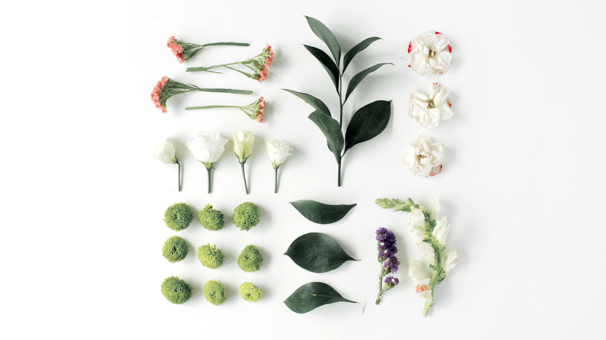 Choosing Your Mindset Deliberately
β My Self-Love Supply Choosing Your Mindset Deliberately
β My Self-Love Supply