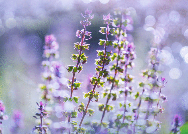 What it is, How it’s Shaped and How We Can – My Self-Love Supply