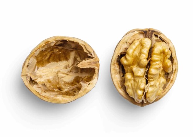 How to wake up the brain when you’re feeling sleepy but need to work — Kate Greenslade