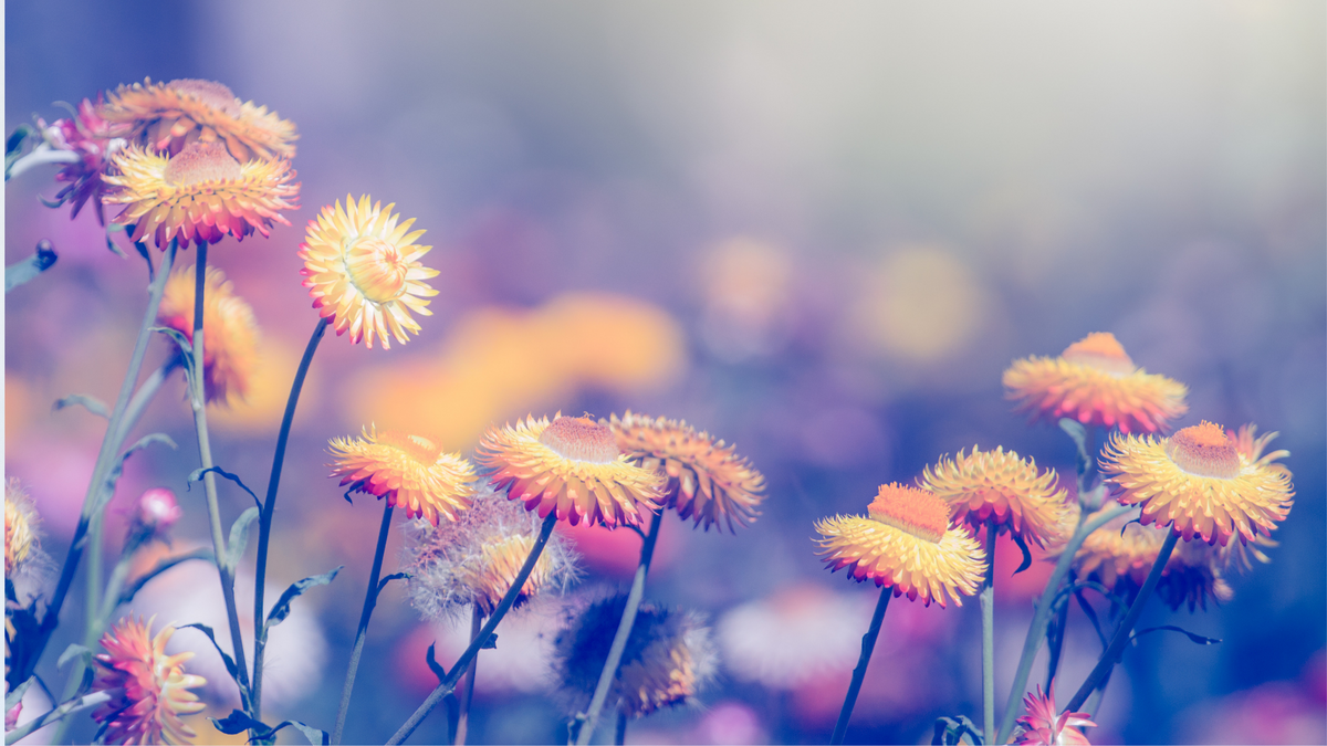 How to Journal Your Way to Self-Love
β My Self-Love Supply How to Journal Your Way to Self-Love
β My Self-Love Supply