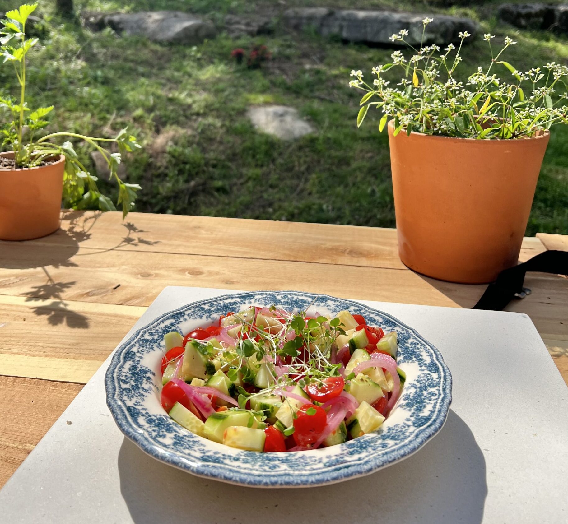 Crunchy Cucumber Tomato Salad