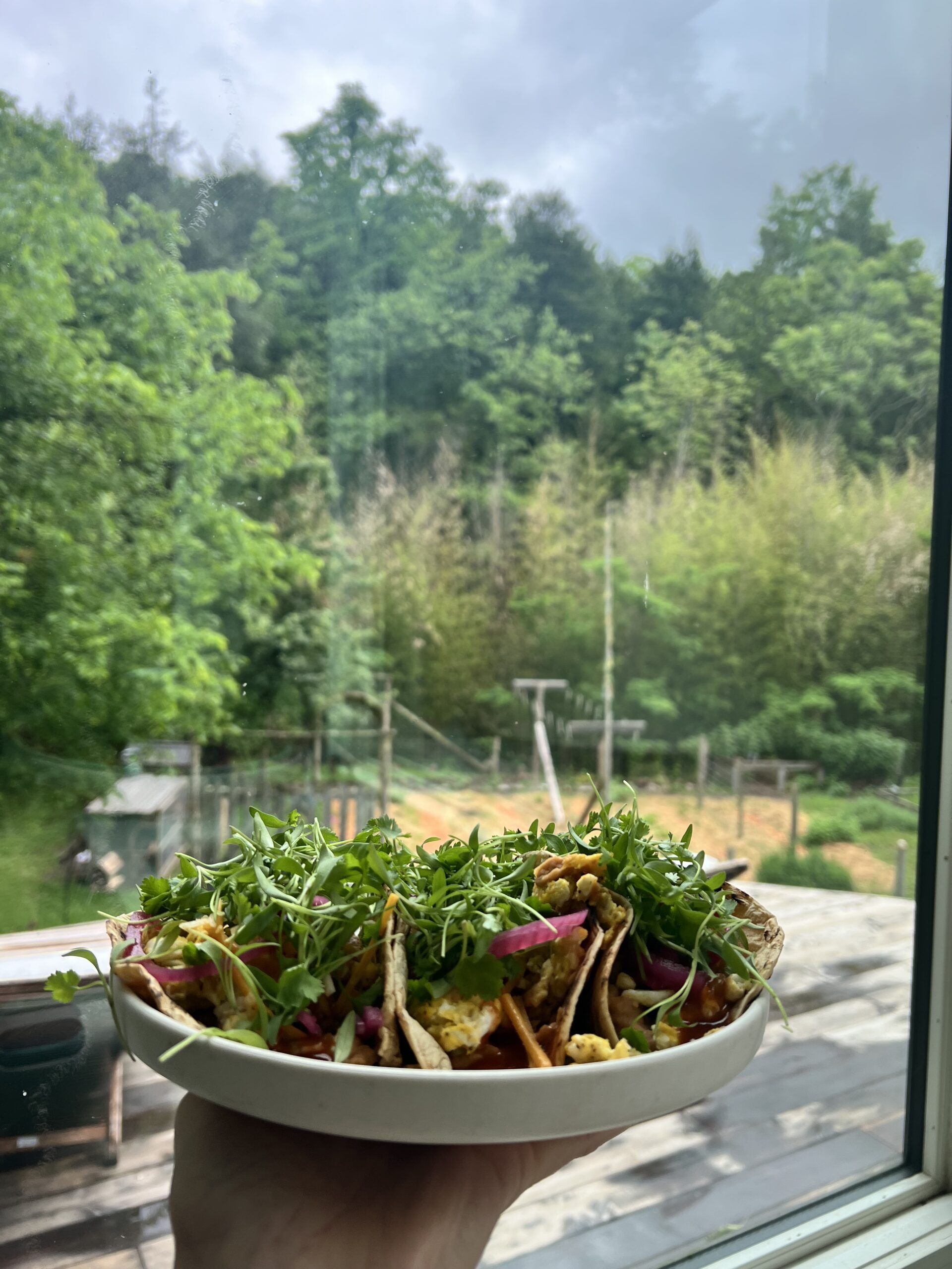 Ultimate Breakfast Tacos Ultimate Breakfast Tacos