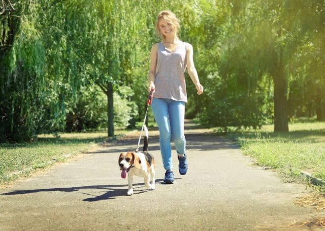 Elevating Vitality: Self-Actions for Managing Chronic Conditions and Autoimmune Diseases