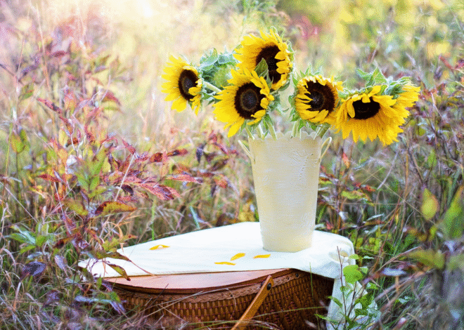 Exploring our Internal World
– My Self-Love Supply