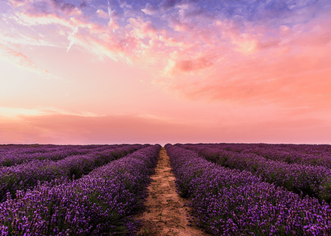 How Unhelpful Perfectionism can Stand in the way of Self Love
– My Self-Love Supply