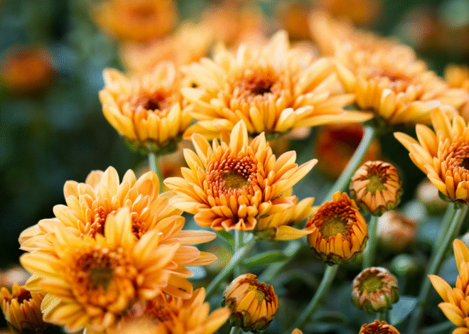 Mind, Body and Bubbles
– My Self-Love Supply