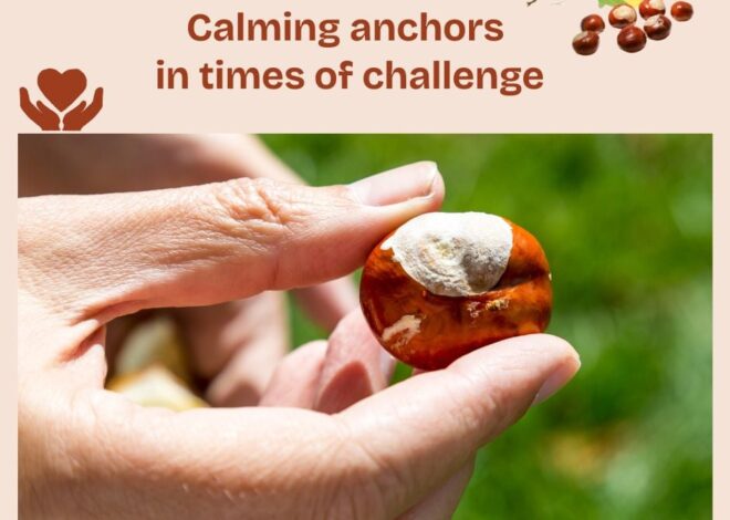 Calming Anchors in Times of Challenge – BodyIntelligence