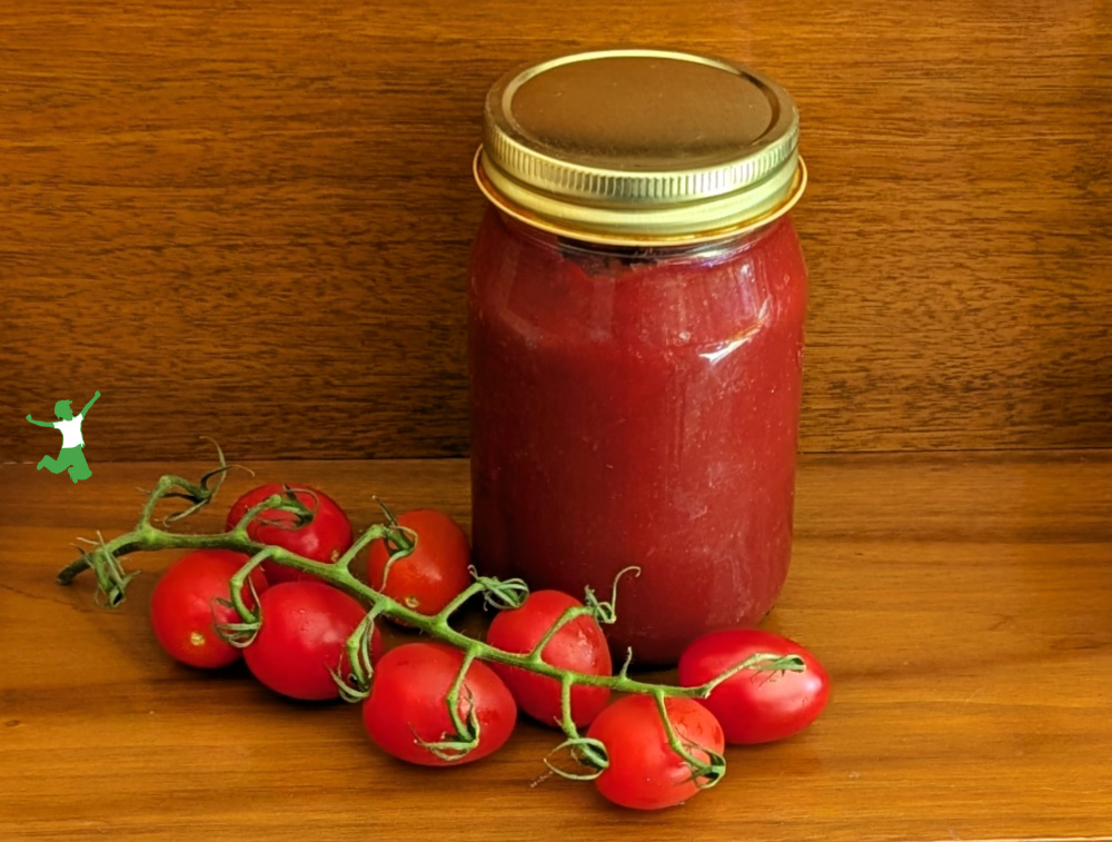 Fermented Ketchup (sugar-free) | Healthy Home Economist Fermented Ketchup (sugar-free) | Healthy Home Economist