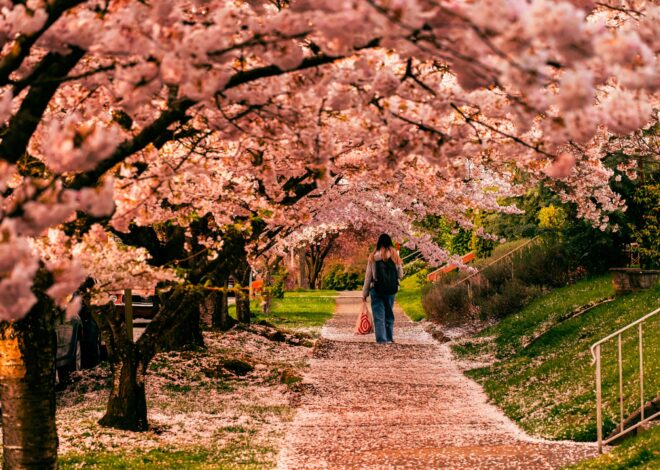 Make Today Count: Live Your Best Life Right Now