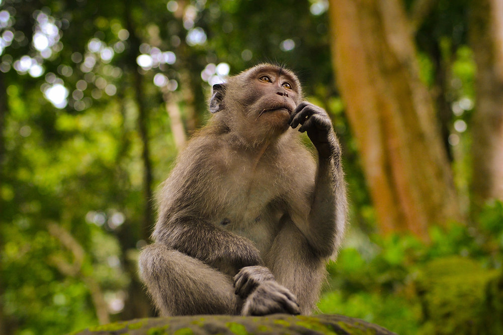 If you’ve trained your brain to overthink every single little decision, you can train it not to.