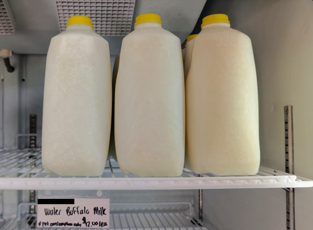 Homemade Water Buffalo Milk Baby Formula