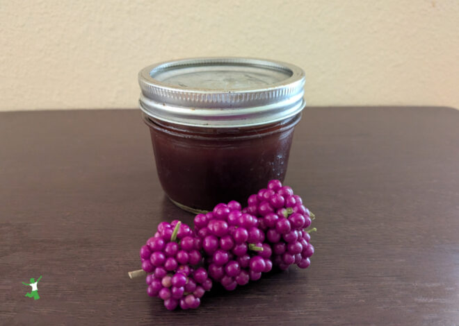 Homemade Beautyberry Jam | Healthy Home Economist