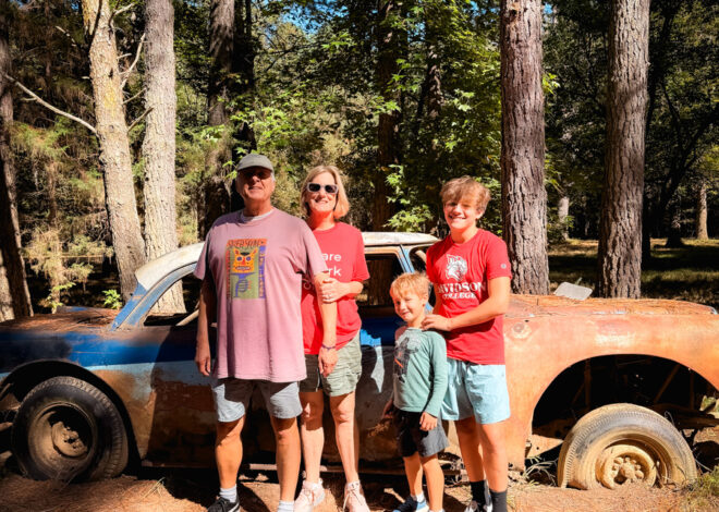 Artsy In Hillsborough • Kath Eats