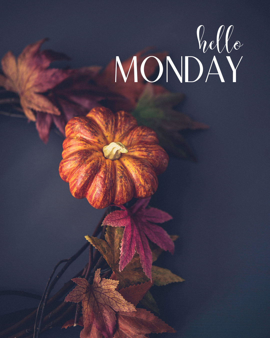 Makeup and Beauty Blog Monday Poll, Vol. 897