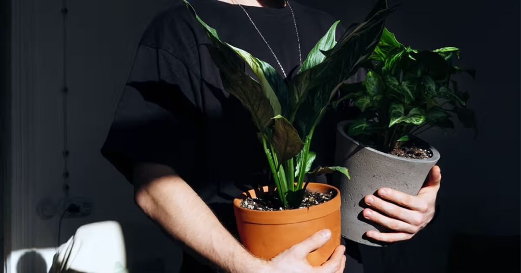 How to stay active besides exercising: 3 medical experts advise